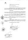 Vista preliminar de documento Acuerdos de Concejo