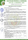 Vista preliminar de documento RA-587-2018-MPLC/A