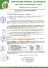 Vista preliminar de documento RA-605-2018-MPLC/A