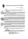 Vista preliminar de documento RESOLUCION DE ALCALDIA N° 057-2020-MPCP