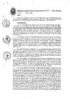 Vista preliminar de documento RESOLUCION DE ALCALDIA N° 313-2020-MPCP