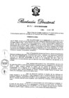 Vista preliminar de documento RD N° 266-2016.pdf