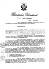 Vista preliminar de documento RD N° 300-2016.pdf