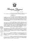 Vista preliminar de documento RD N° 308-2016.pdf