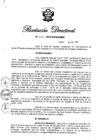 Vista preliminar de documento RD N° 309-2016.pdf