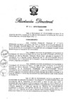 Vista preliminar de documento RD N° 333-2016.pdf