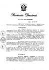 Vista preliminar de documento RD N° 338-2016.pdf