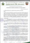 Vista preliminar de documento R.G. 195.pdf