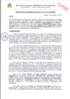 Vista preliminar de documento R.G. 196.pdf