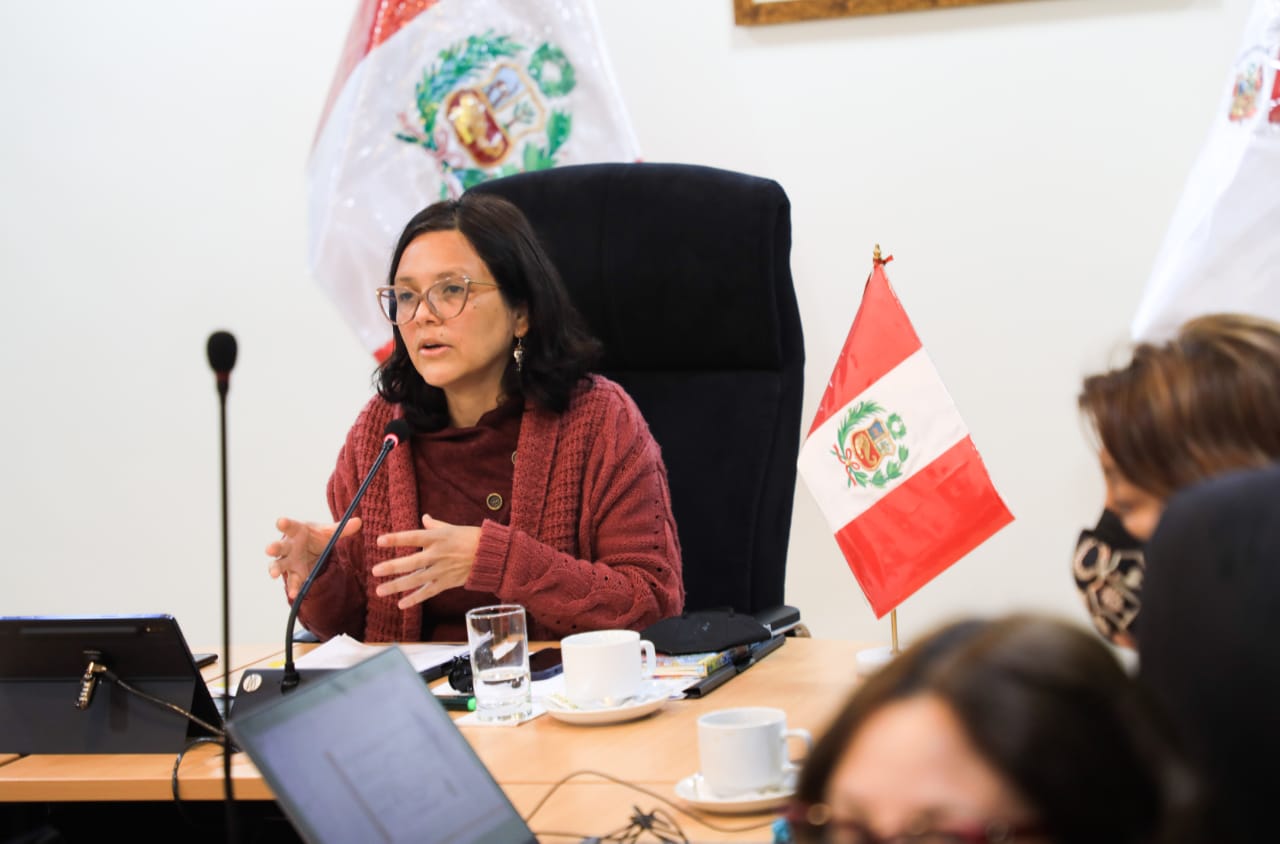 Anahí Durand en comisión de la mujer