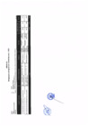 Vista preliminar de documento Anexo 02