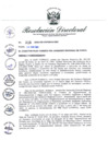 Vista preliminar de documento R.D. 215-2021.pdf