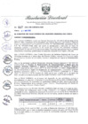 Vista preliminar de documento R.D. 217-2021.pdf