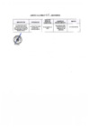 Vista preliminar de documento Anexo
