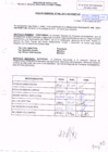 Vista preliminar de documento R.D.N° 958.pdf