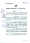 Vista preliminar de documento R.D.N°990.pdf