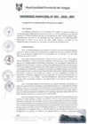 Vista preliminar de documento ORD0002-2020