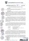 Vista preliminar de documento ORD0010-2017