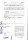 Vista preliminar de documento RESULTADO DE RECONSIDERACIONES Y CRONOGRAMA DE ENTREVISTAS.pdf