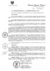 Vista preliminar de documento R.E.R. Nro 315-2021-GR-GR PUNO.pdf