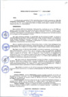 Vista preliminar de documento 515.pdf