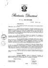 Vista preliminar de documento RD N° 357-2016.pdf