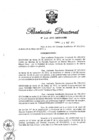Vista preliminar de documento RD N° 133-2013.pdf