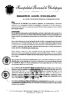 Vista preliminar de documento Resolucion_2021_319.pdf