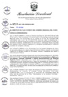 Vista preliminar de documento RD-313-2021.pdf