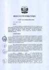 Vista preliminar de documento RD 208-2018