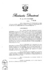Vista preliminar de documento RD N° 196-2013.pdf