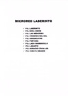 Vista preliminar de documento Laberinto.pdf