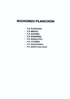 Vista preliminar de documento Planchon.pdf
