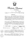 Vista preliminar de documento RD N° 256-2013.pdf