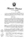 Vista preliminar de documento RD N° 307-2013.pdf