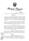 Vista preliminar de documento RD N° 309-2013.pdf