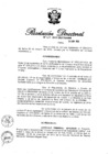 Vista preliminar de documento RD N° 317-2013.pdf