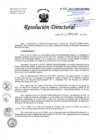 Vista preliminar de documento RD-246-08-2021.pdf