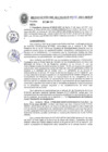 Vista preliminar de documento RESOLUCION DE ALCALDIA 196-2021-MPCP
