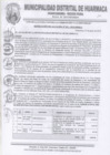 Vista preliminar de documento RES-ALC-N°331