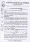 Vista preliminar de documento RES-ALC-N°460
