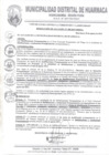 Vista preliminar de documento RES-ALC-N°480