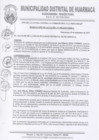 Vista preliminar de documento RES-ALC-N°495