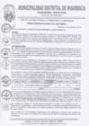 Vista preliminar de documento RES-ALC-N°517