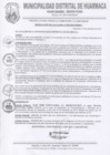 Vista preliminar de documento RES-ALC-N°539