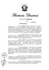Vista preliminar de documento RD N° 270-2013.pdf