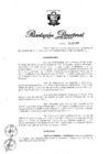 Vista preliminar de documento RD N° 271-2013.pdf
