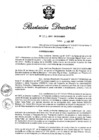 Vista preliminar de documento RD N° 333-2017.pdf