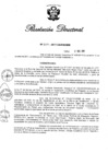Vista preliminar de documento RD N° 339-2017.pdf