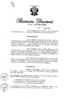 Vista preliminar de documento RD N° 295-2013.pdf